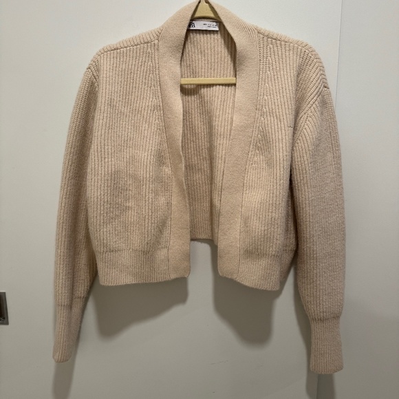 Zara Sweaters - Zara Crop Sweater